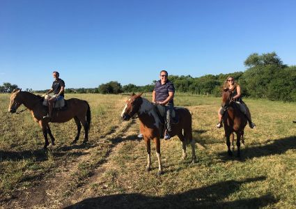 Odoo - Prueba 1 a tres columnas